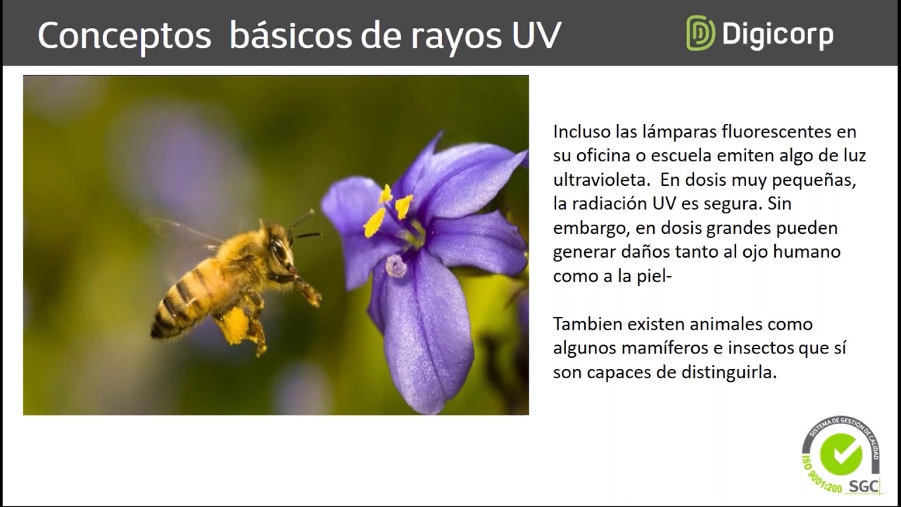 EQUIPOS DE PREVENCIÓN ESTERILIZADORES UV