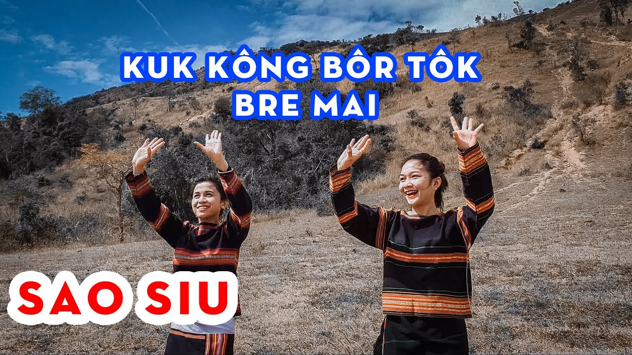 Kuk K&ocirc;ng B&ocirc;r T&ocirc;k Bre Mai ( Chim B&ocirc;r T&ocirc;k Gọi Em )-Phi Ưng || Sao Siu với điệu nhảy