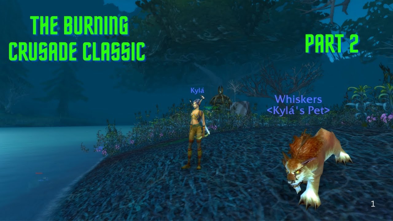 The Burning Crusade Classic - Blood Elf Hunter 1-70 (Part 2)