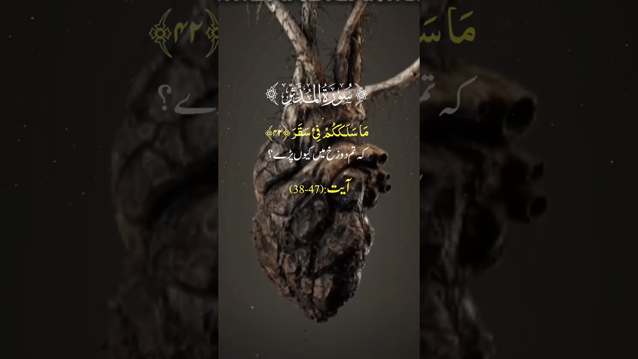 2024 Tilawat Quran