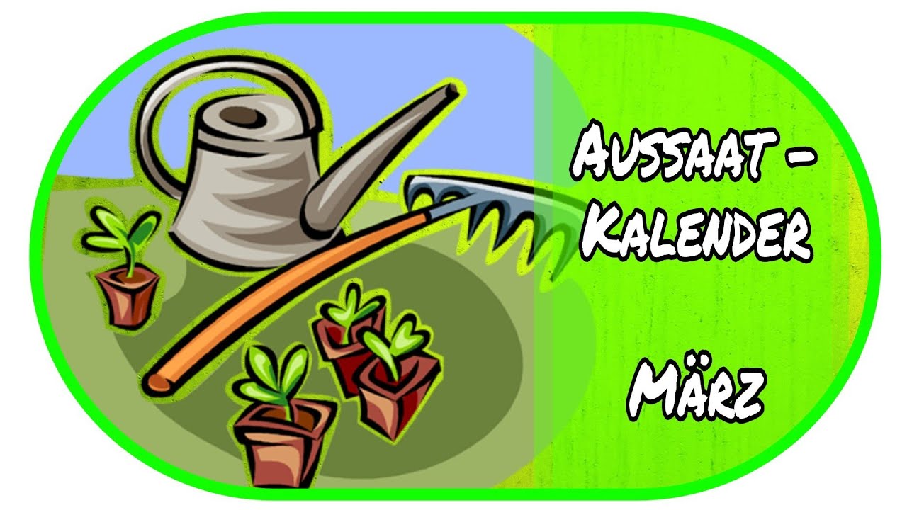 🌻Aussaatkalender M&auml;rz - Vorzucht zu Hause 🌻// Garten // Anzucht //Aussaat // Gew&auml;chshaus