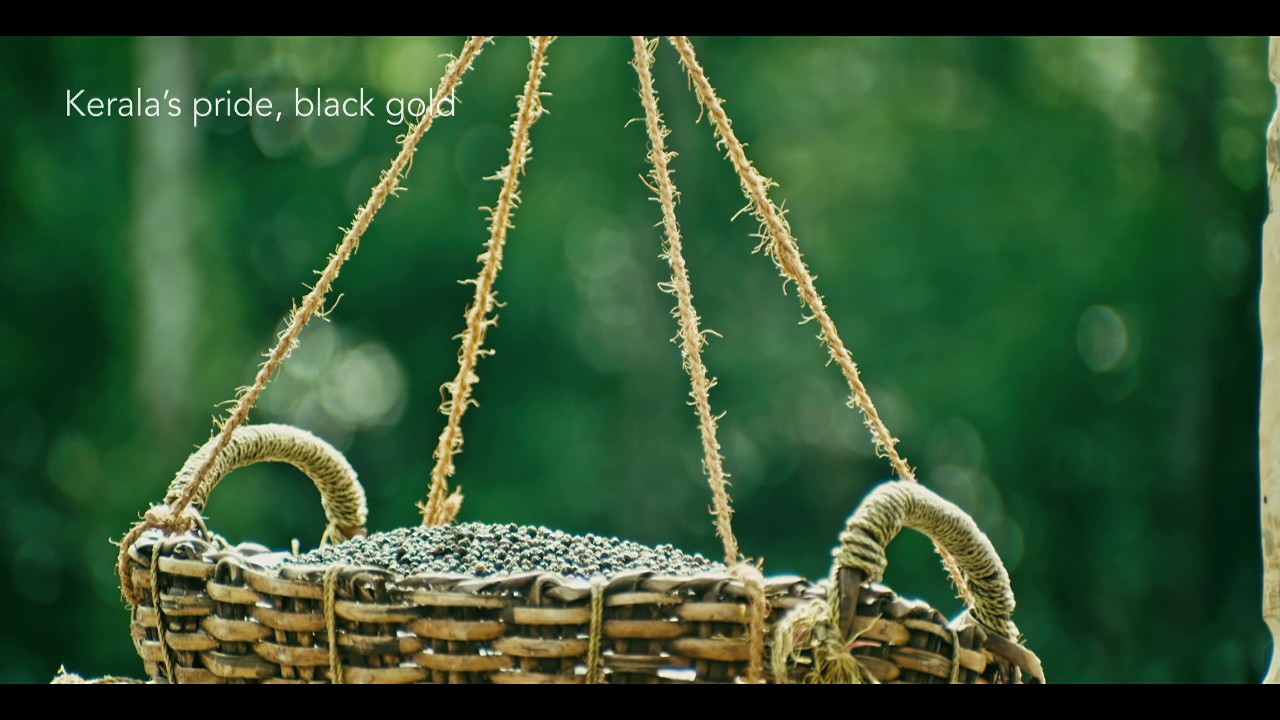 Kofiland Pepper& Cardamom Plantation| Spice Garden Thekkady
