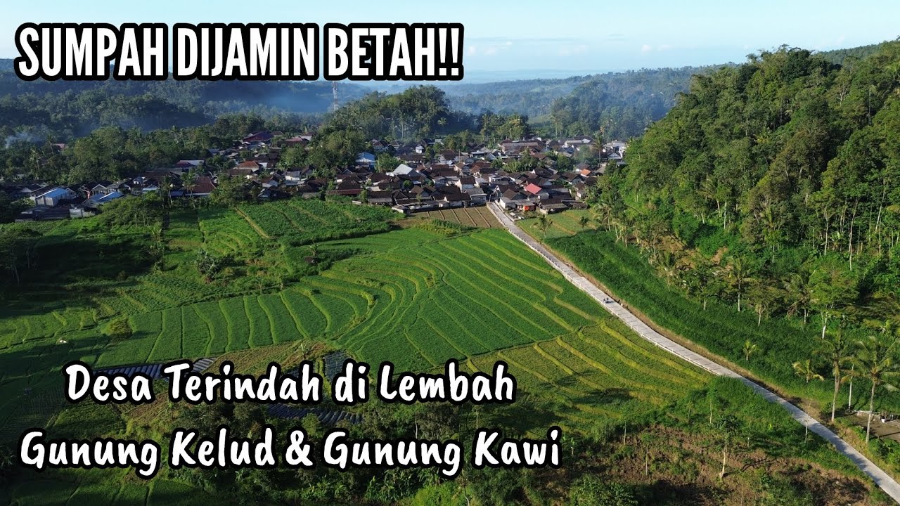 Jelajah Suasana Desa Saat Pagi : Menikmati Keindahan Alam Gunung, Sawah dan Sungai di Lereng Kelud‼️
