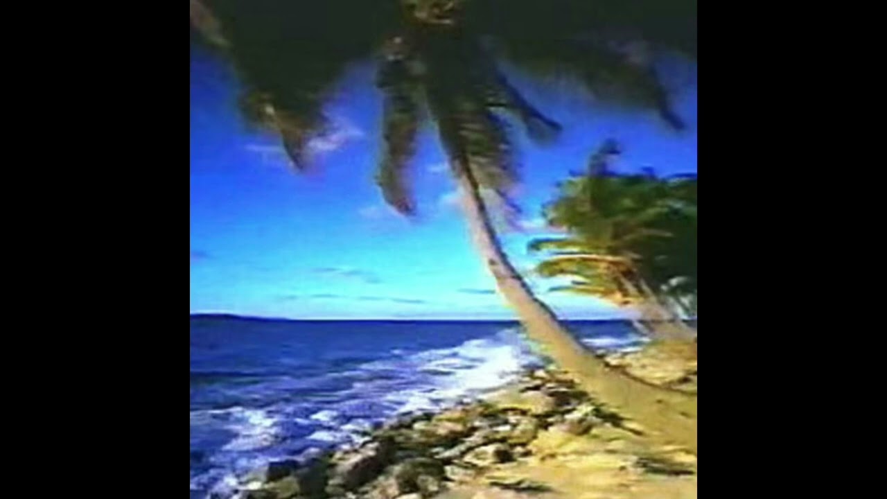 Tropical x Ambient x Plugg Type Beat “ cost “ prod @stax6k 