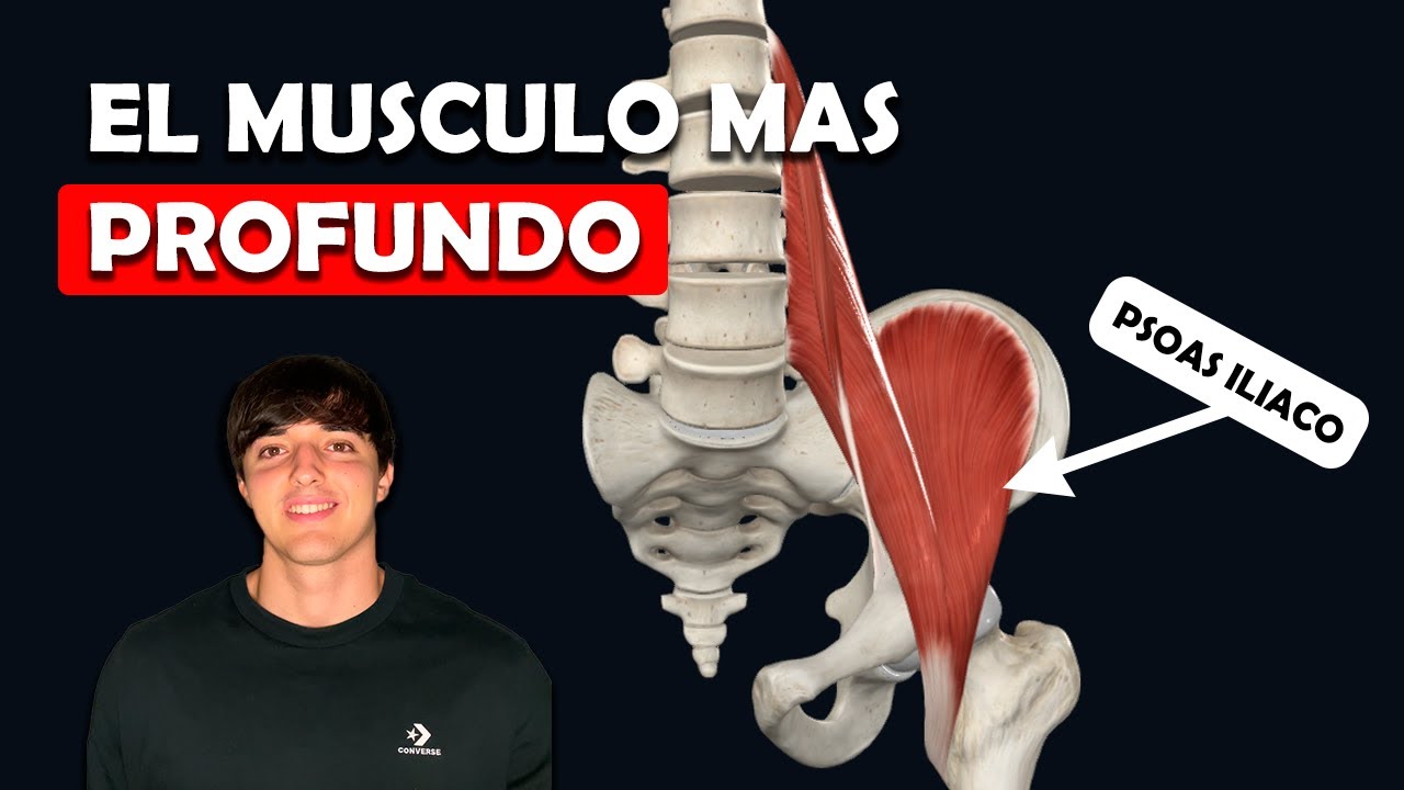 Las curiosidades del músculo más profundo del cuerpo - Ep. 21