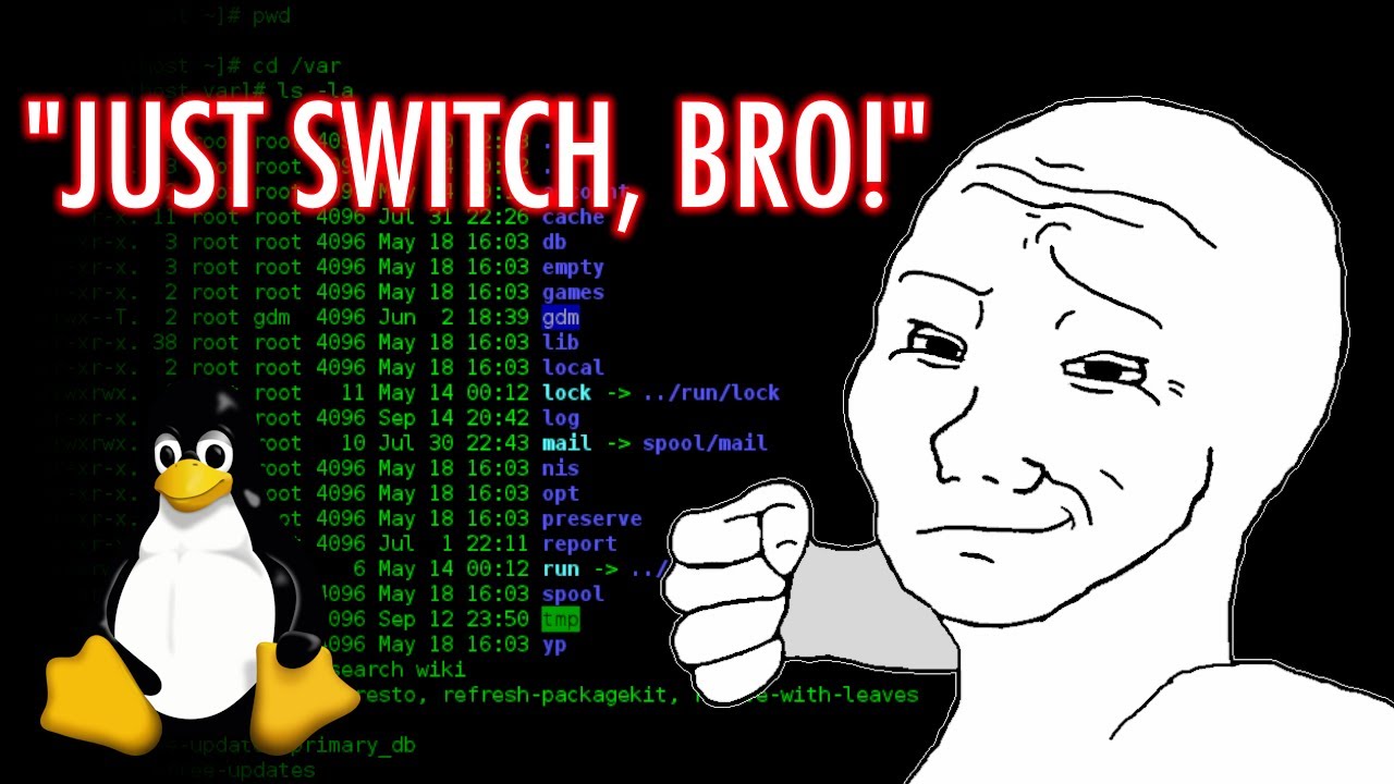 Каждый надоедливый парень с Linux