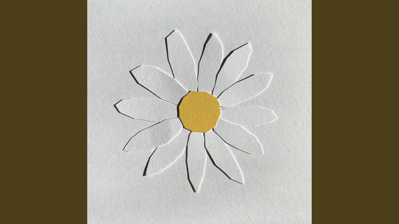 Daisies on a Rock