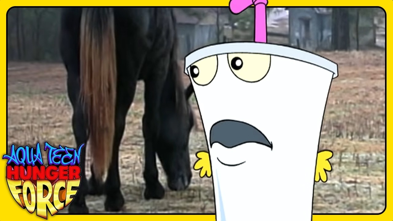 The Best (or Worst) of Master Shake: Season 1 | Aqua Teen Hunger Force