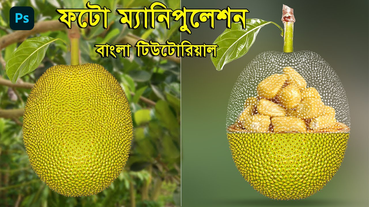 Photo Manipulation in Photoshop Bangla Tutorial || Transparent Effect Jakfruit Manipulation 2024