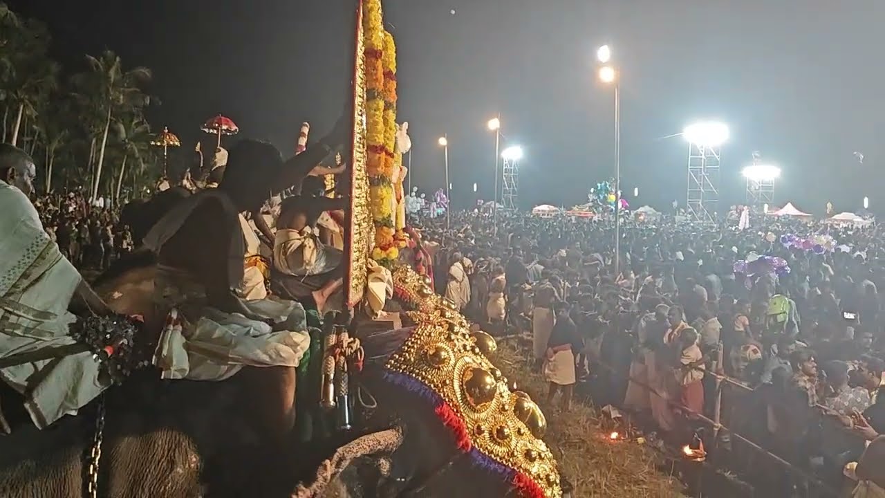 Kerala elephant festival. ആനയടി പൂരം... .