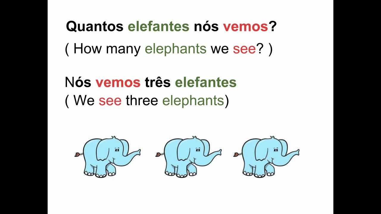 European Portuguese - Lesson 13 - Animals and verb To See - Animais e verbo Ver