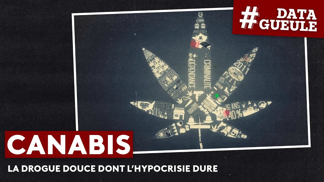 Cannabis, la drogue douce dont l'hypocrisie dure - #DATAGUEULE 11