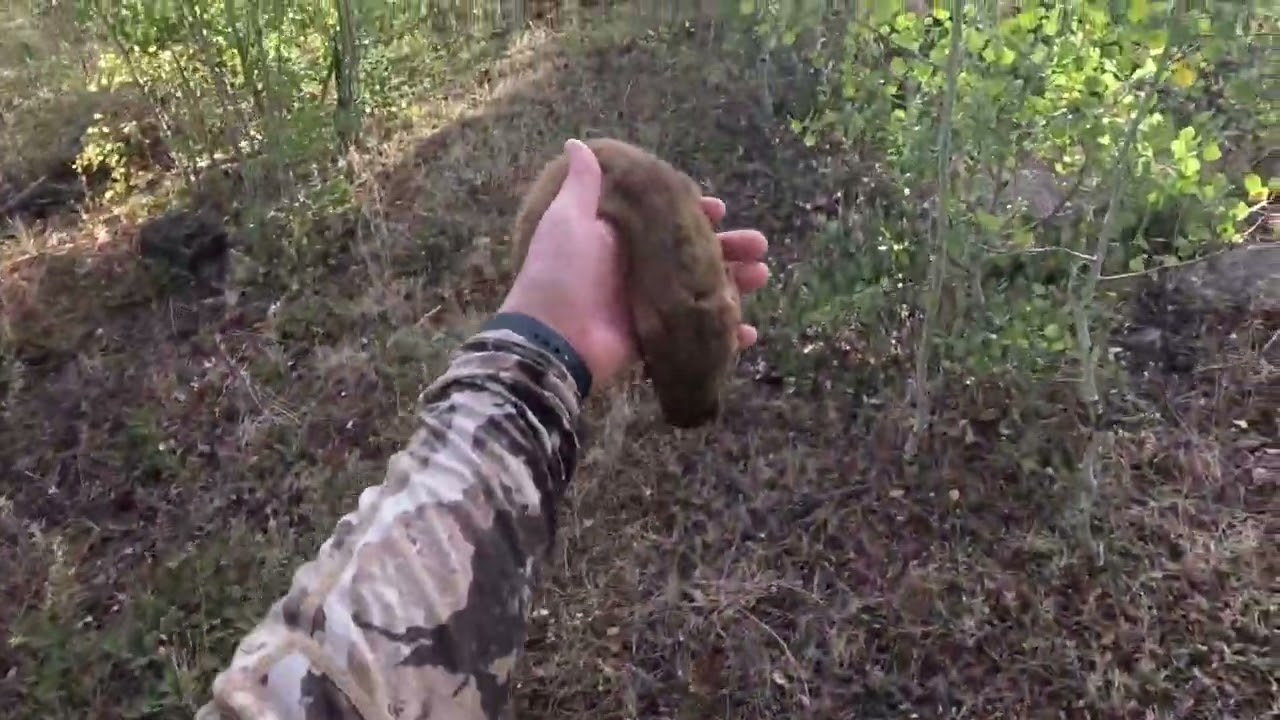 WY Black Powder Squirrels