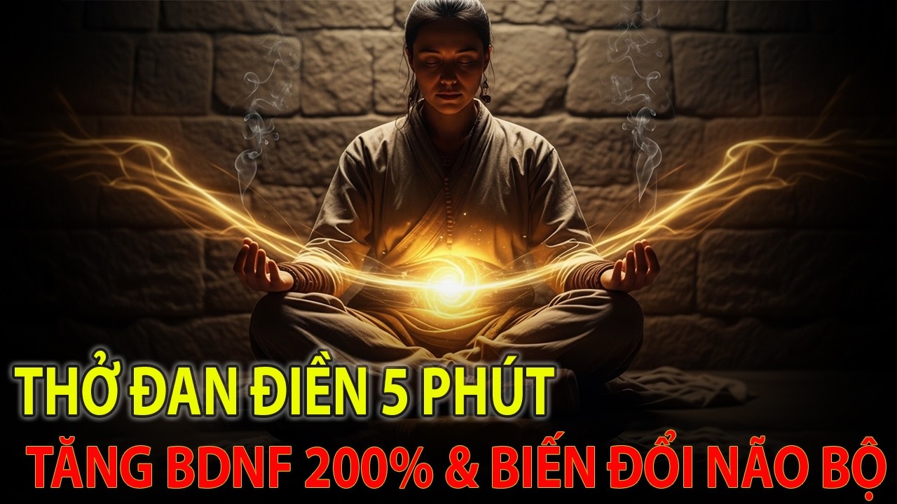 Chỉ 5 Phút Thở Đan Điền | Cách Kích Hoạt BDNF Và Hỗ Trợ Tái Tạo Não Bộ