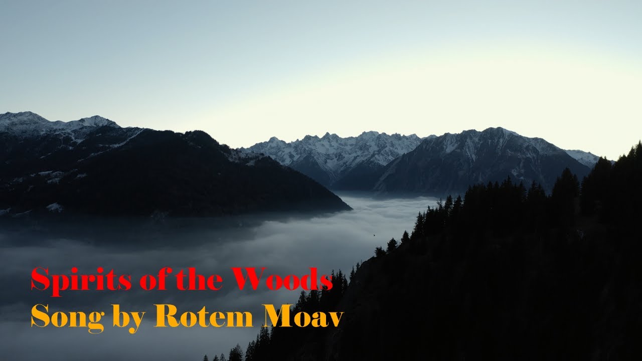 Spirit Of The Woods by Rotem Moav