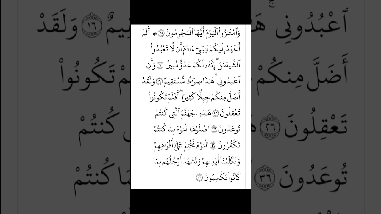 Suratul Yaseen Verse 60-65 #yasin  #beautifulrecitation #deen #status #islamupdates #suratupdates