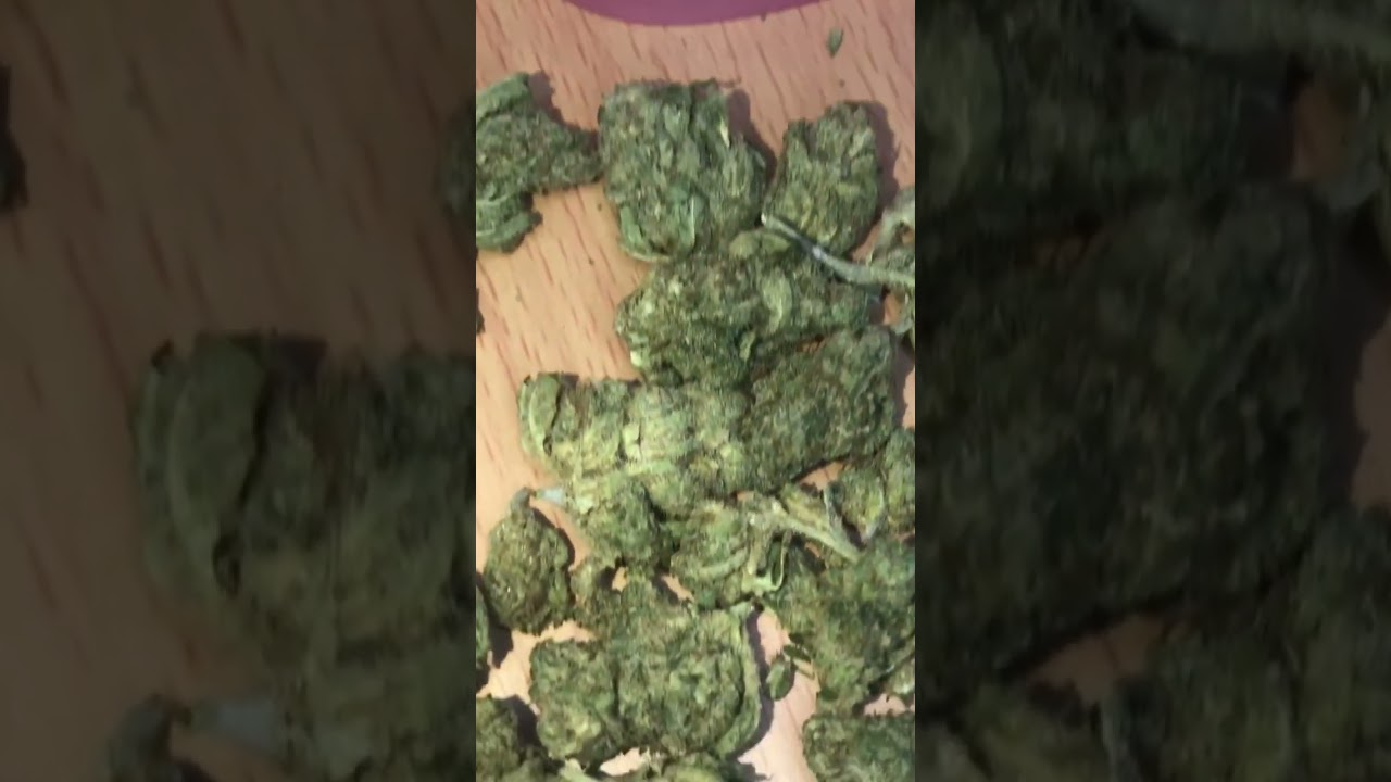 COULD this be the BEST CBD FLOWER on the PLANET??? #entourage #cbdoils #cbdflower #unbelievable #wow