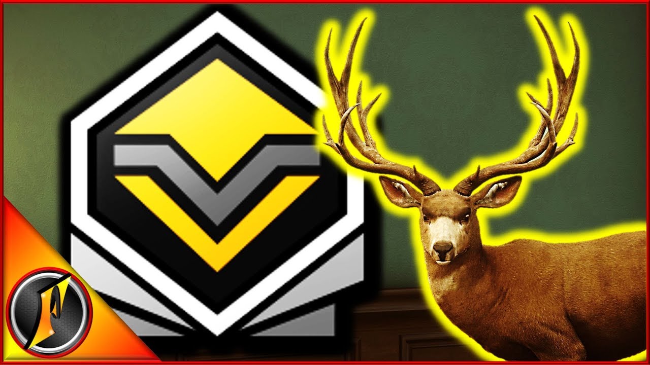 Just a Bunch of Trophies for the Lodge :)