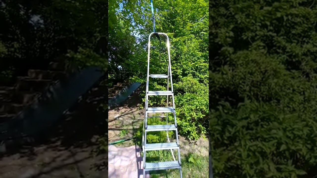 Jagd nach dem Bienenschwarm//Охота за пчелиным роем//3. Mai 2022