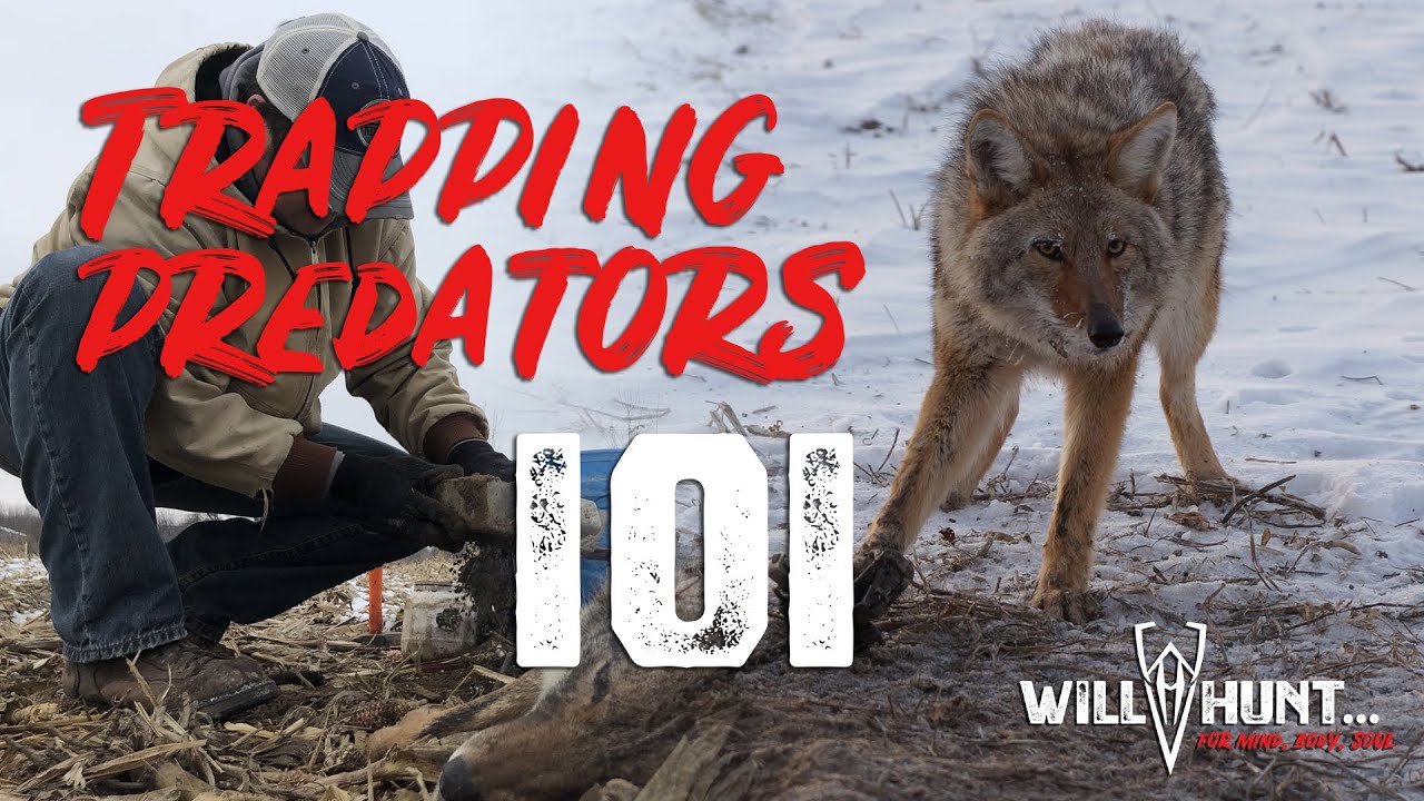 Trapping Predators: The Lost Art Series EP 1