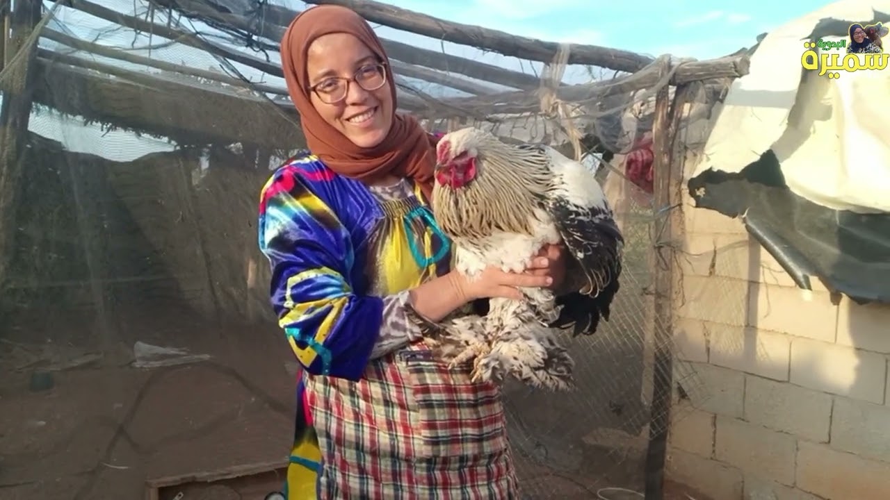 دجاج للبيع 📣يومياتنا مع الدجاج 🐓🦆البط الطاووس 🦚كيف كل نهار 😀