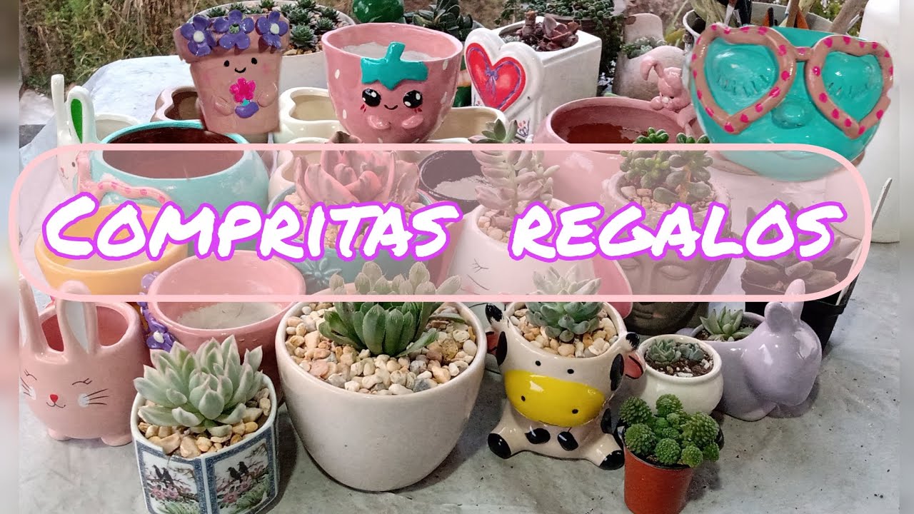 Compritas #regalos y decoramos unas macetas #suculentas
