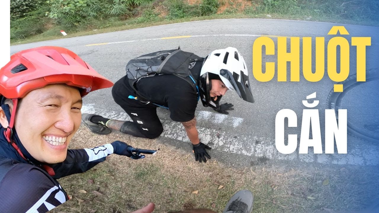 Tour đạp xe chữa lành | Suối La Ngâu - Rừng Tánh Linh | Đèo ĐaSô - Bình Thuận