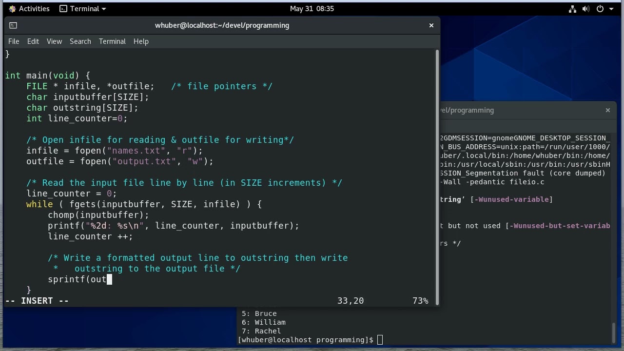 File I/O in C
