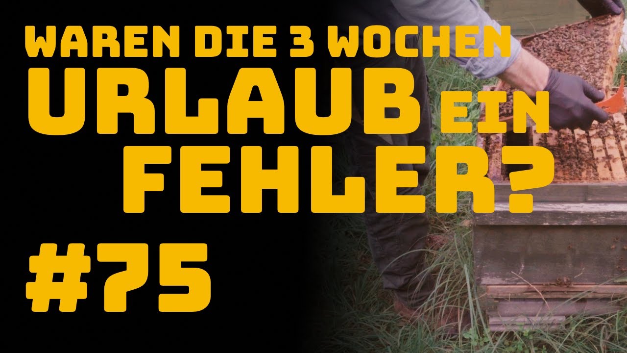 #75 War es eine schlechte Idee, JETZT drei Wochen Urlaub zu machen?