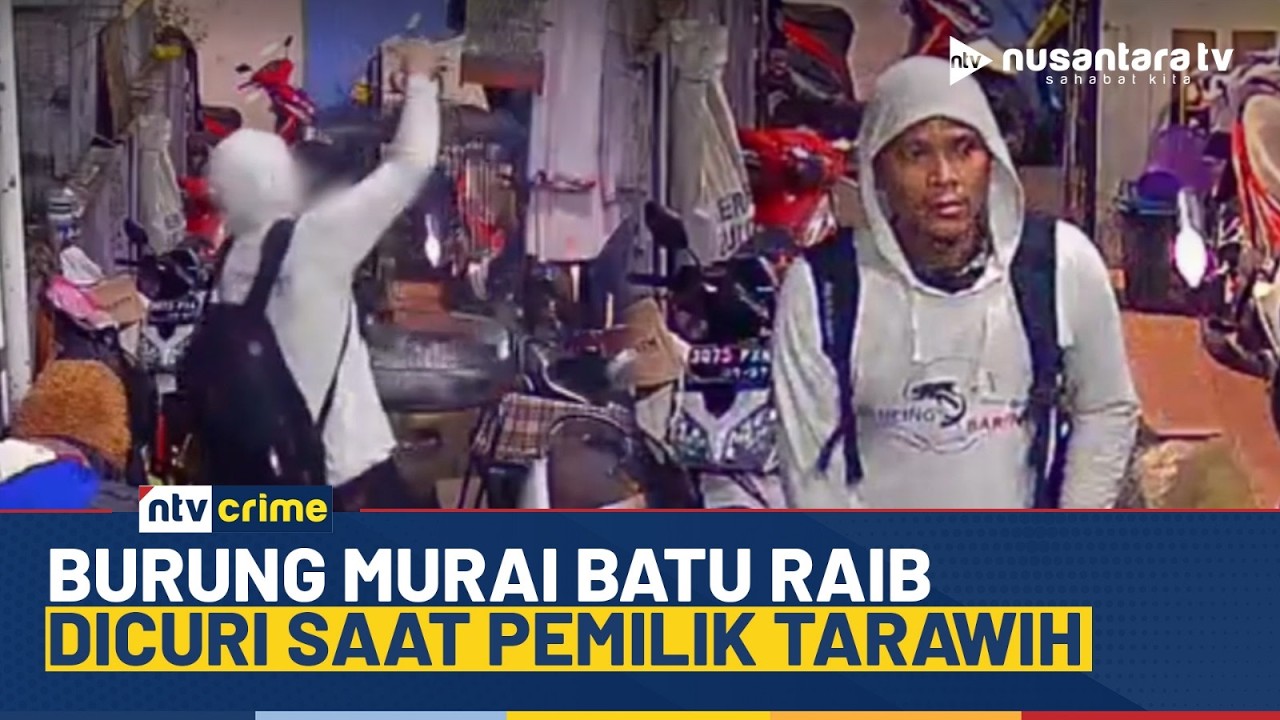 Viral! Maling Curi Burung Murai Batu Senilai Jutaan Rupiah saat Pemilik Salat Tarawih | NTV CRIME