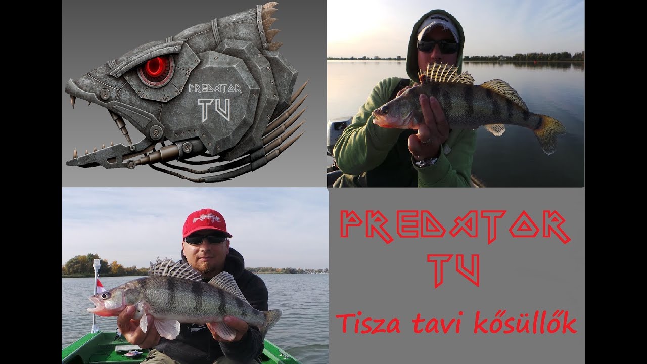 Predator TV III. Kősüllő pergetés a Tisza-tavon