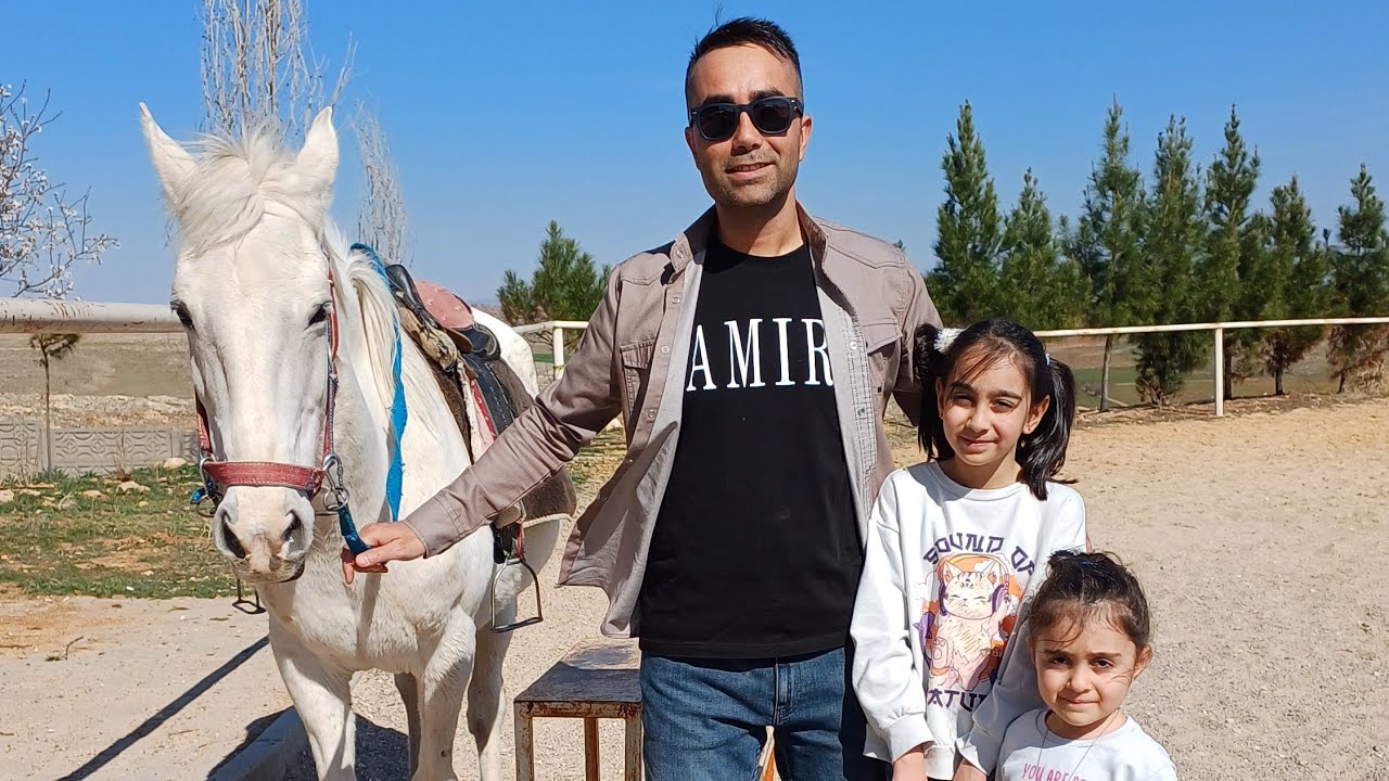 At çiftliğinde yeni bir tay. ALTAY yeni arkadaşımız #Onurköy At çiftliği 
