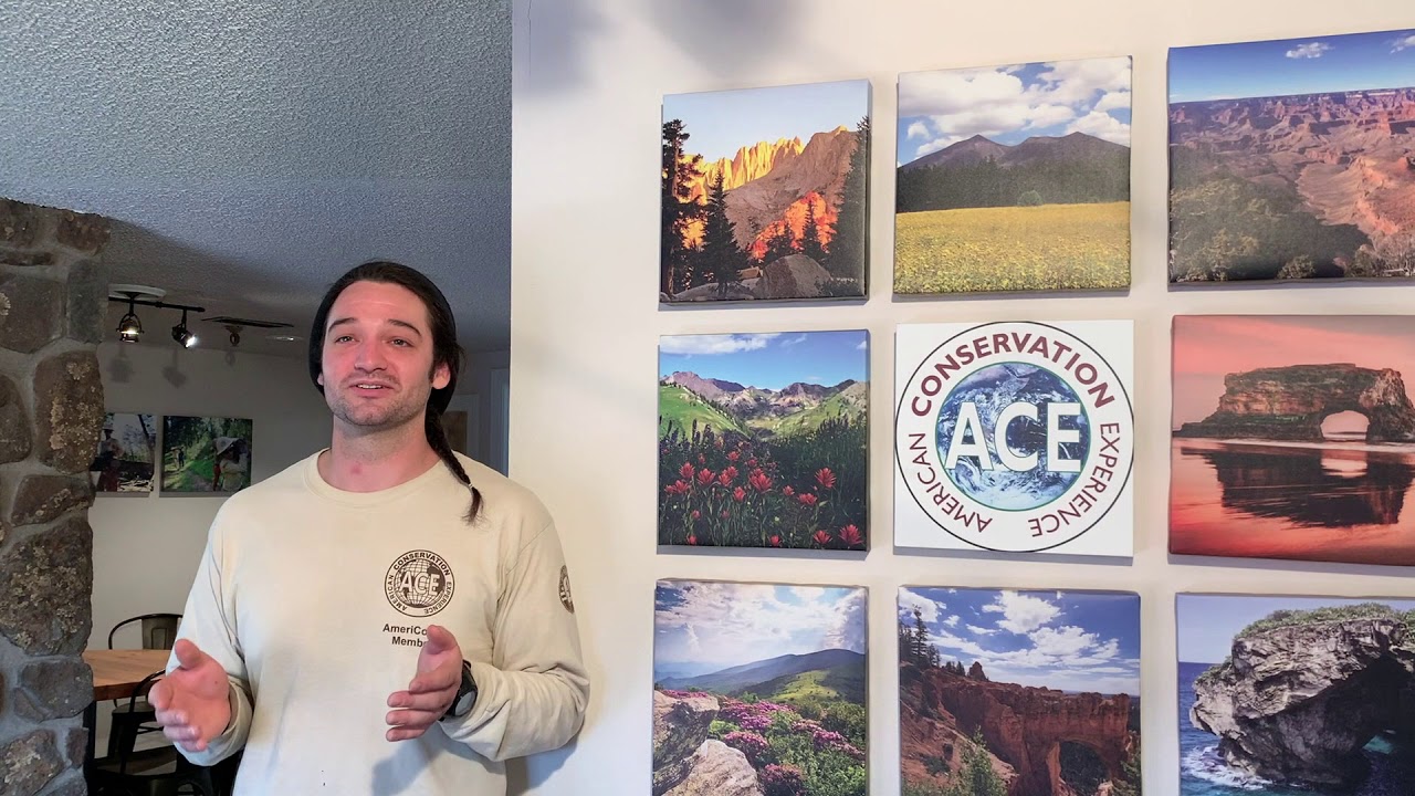 American Conservation Experience (ACE) and the AZT
