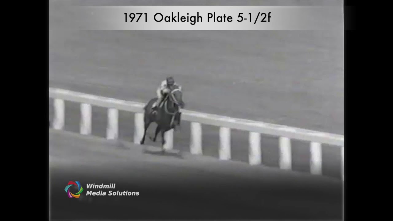 Dual Choice - 1971 - Oakleigh Plate
