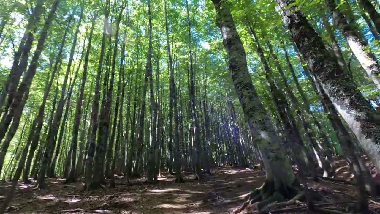 monti della laga. bosco della martese, fosso valle castellana, cascata e stazzi della morricana