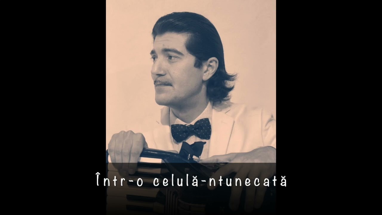 Într-o celulă-ntunecată