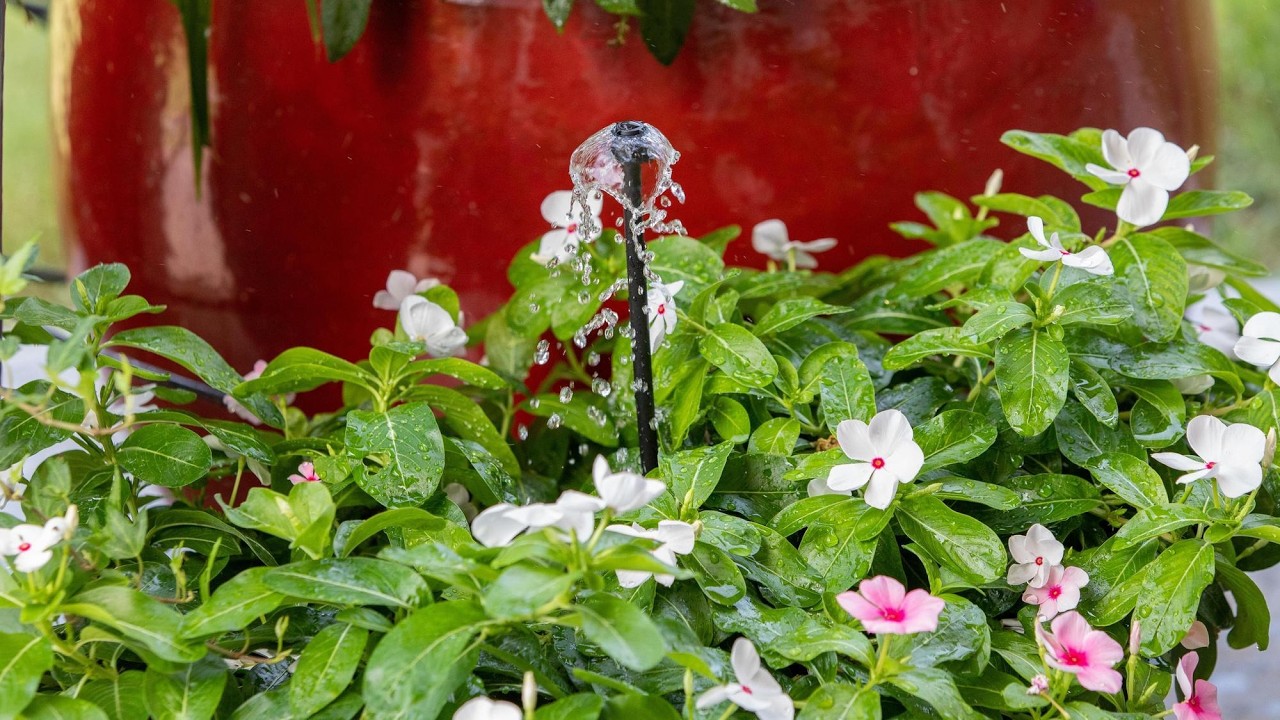 Drip and Micro Irrigation Emission Devices