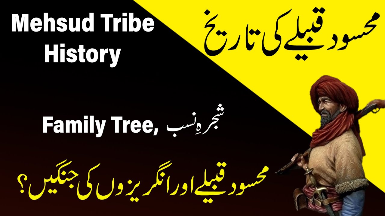 IHC Caste series: History of Mehsud or Mehsood tribe - Mehsud shajra nasab  | Pashtun history