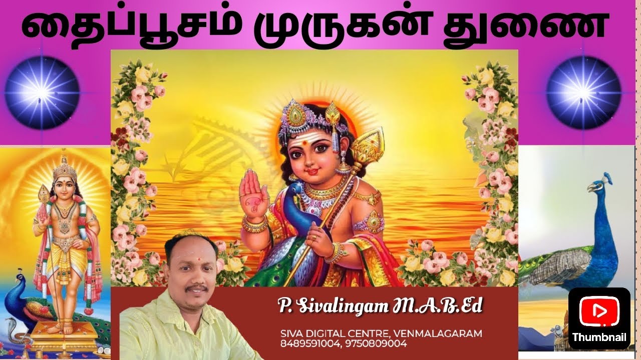 தைப்பூசம் முருகன் கோயில் தரிசனம்🙏 #templevideos #murugan #murugantemple #thaipoosam #travelblogger