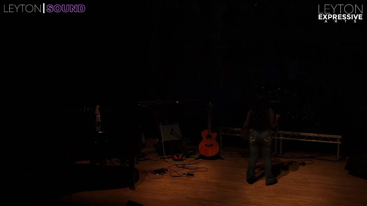 The Revolution - Music Concert