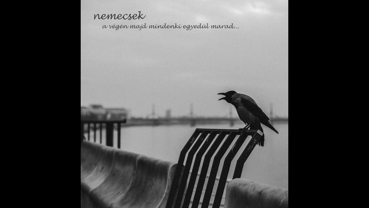 nemecsek - Én már soha többet semmiért nem fogok bocsánatot kérni!