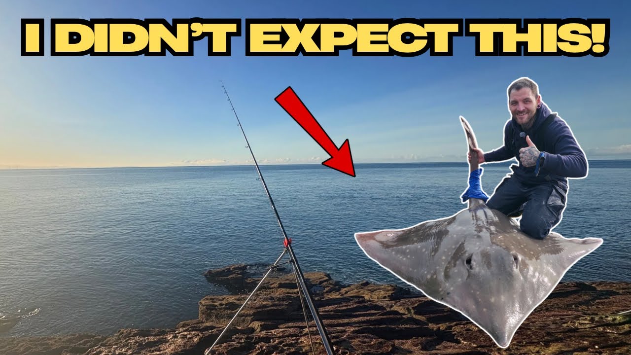 Something MASSIVE Took My Bait | Unexpected Catch | South West Scotland