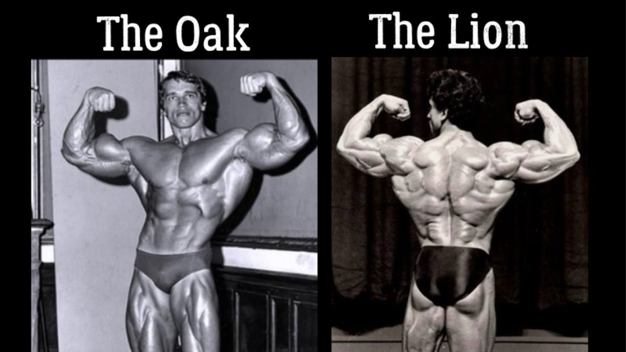 Arnold Schwarzenegger vs Samir Bannout