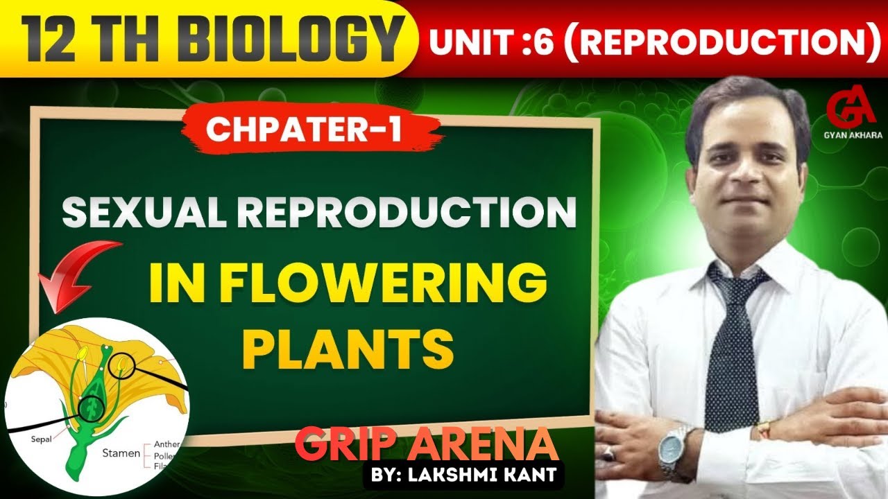 12th Biology | Sexual Reproduction in Flowering Plants I Grip Arena