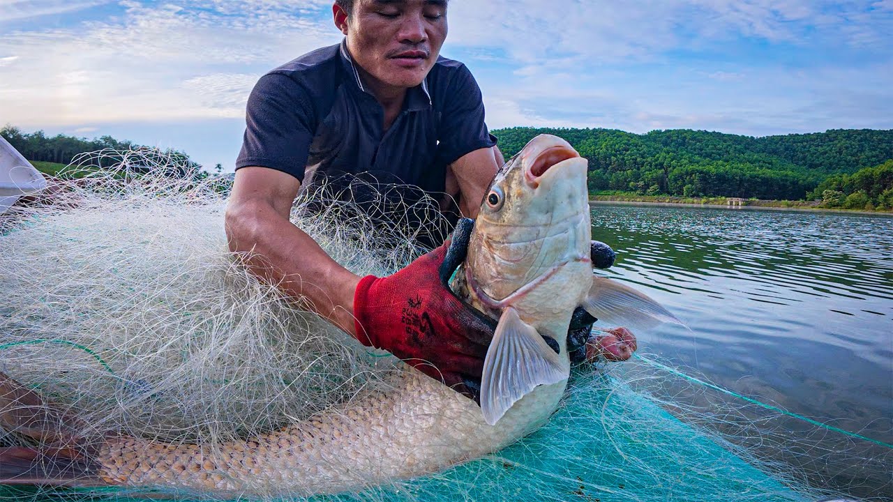 Tạm Hoãn Đi Rừng - Ở Nhà Bắt Cá Thuê - Phần 2