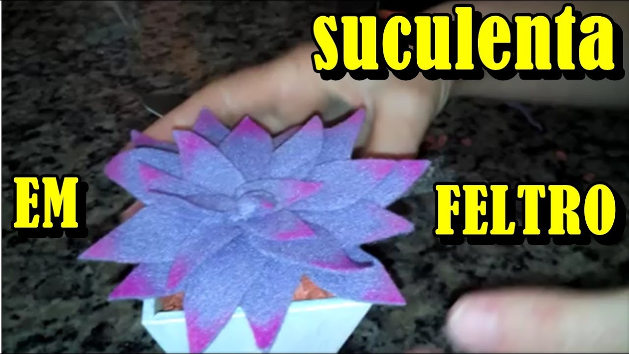 SUCULENTA EM FELTRO ( DIY)