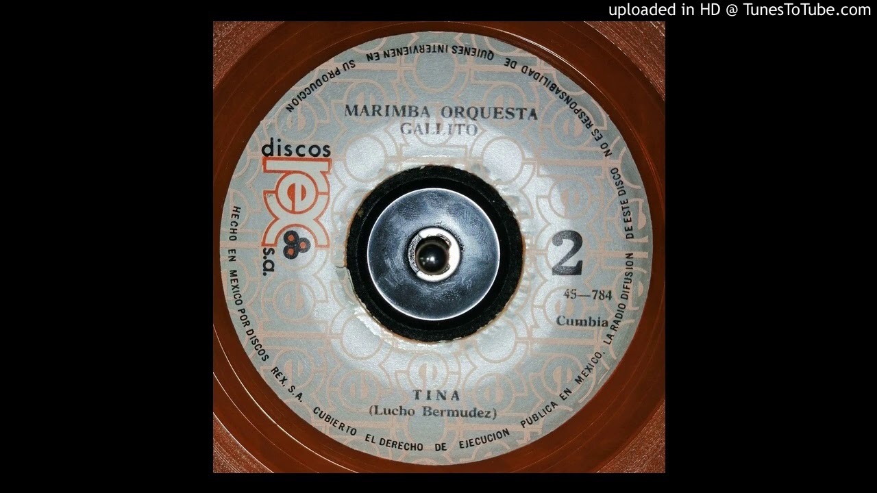 MARIMBA ORQUESTA GALLITO - TINA