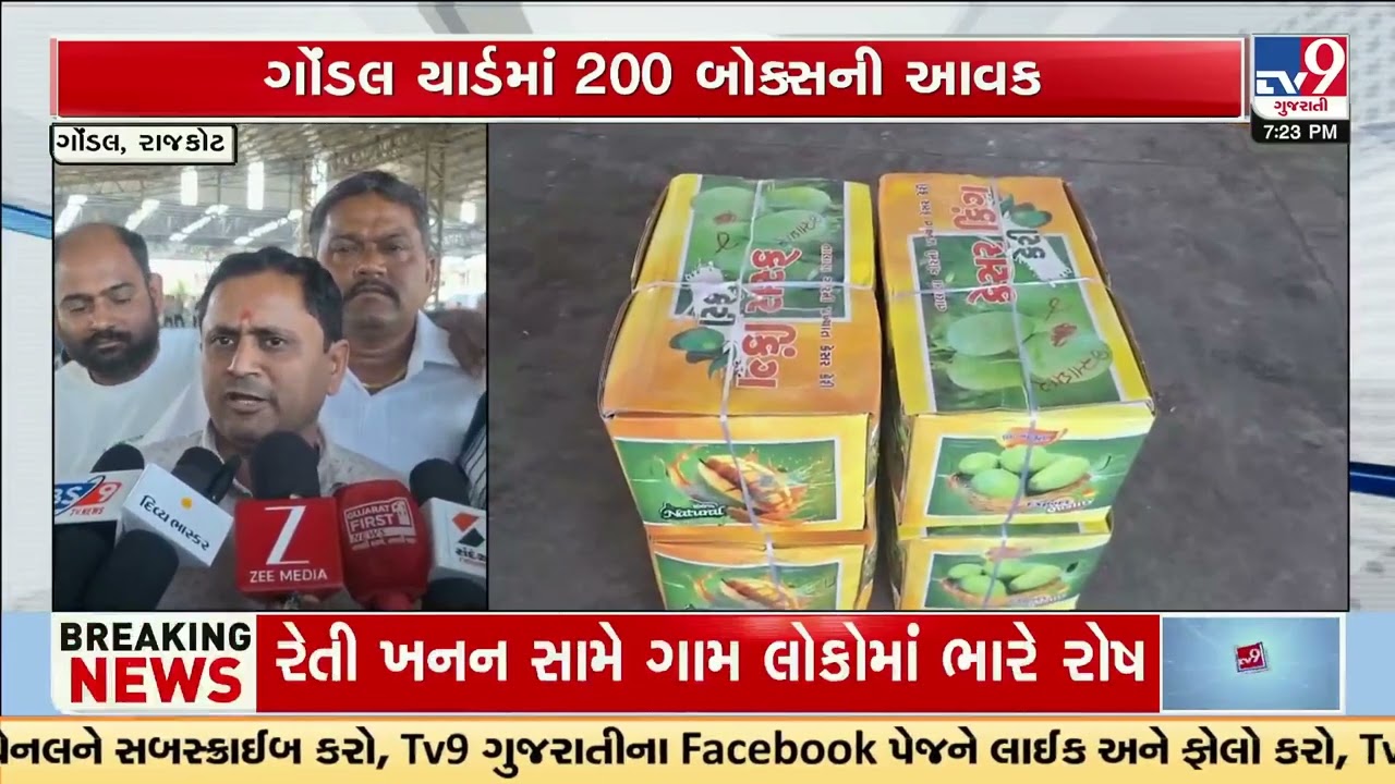 First 200 Boxes of Kesar Mango Arrive at Gondal Yard, Prices Touch ₹5500 | Gujarat | TV9Gujarati