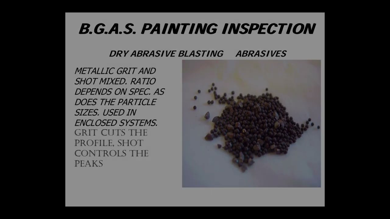 BGAS Painting Inspection 