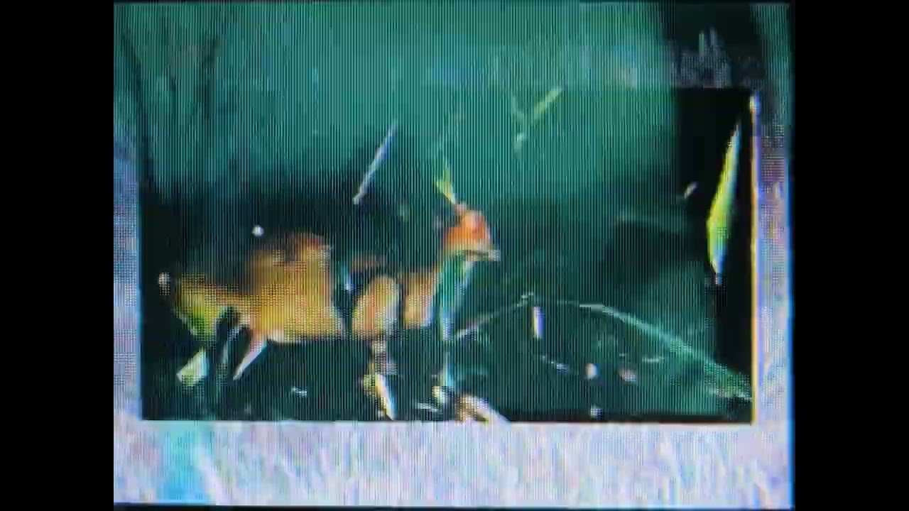 SLEEP - sower of temptation (Visuals by @vornstars )